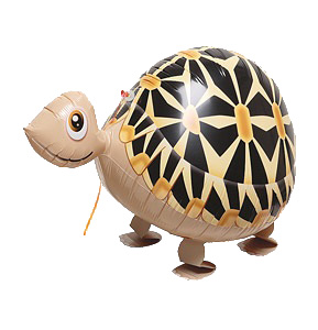 Walking Pet Animal Balloon - Golden Coin Turtle